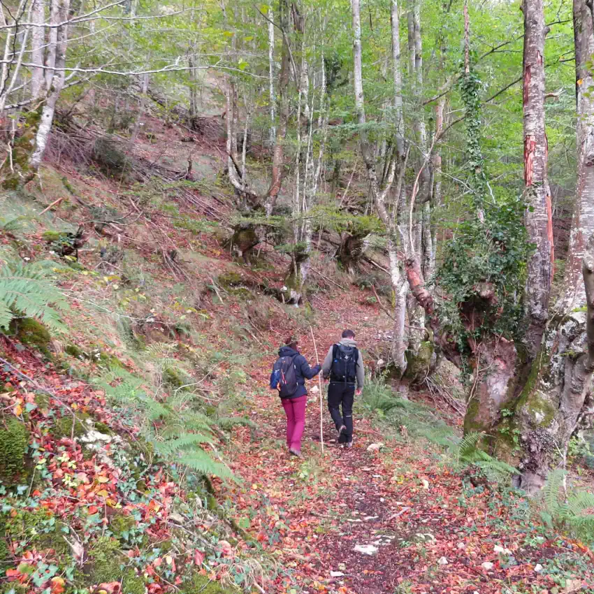 Ruta Guiada por el Parque Natural de Somiedo